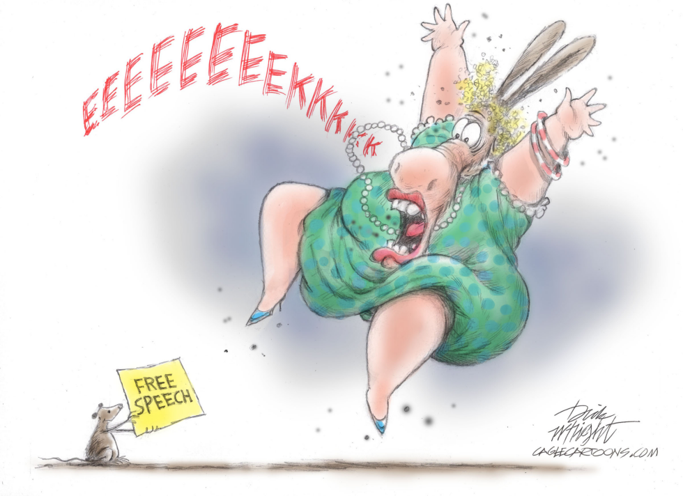 Free Speech a Threat to Democrats