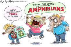 GROOMING KIDS AS AMPHIBIANS by Ed Wexler