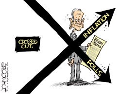 BIDEN AGENDA by John Cole