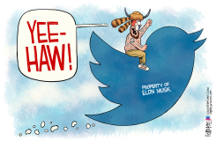 MUSK TWITTER by Rick McKee