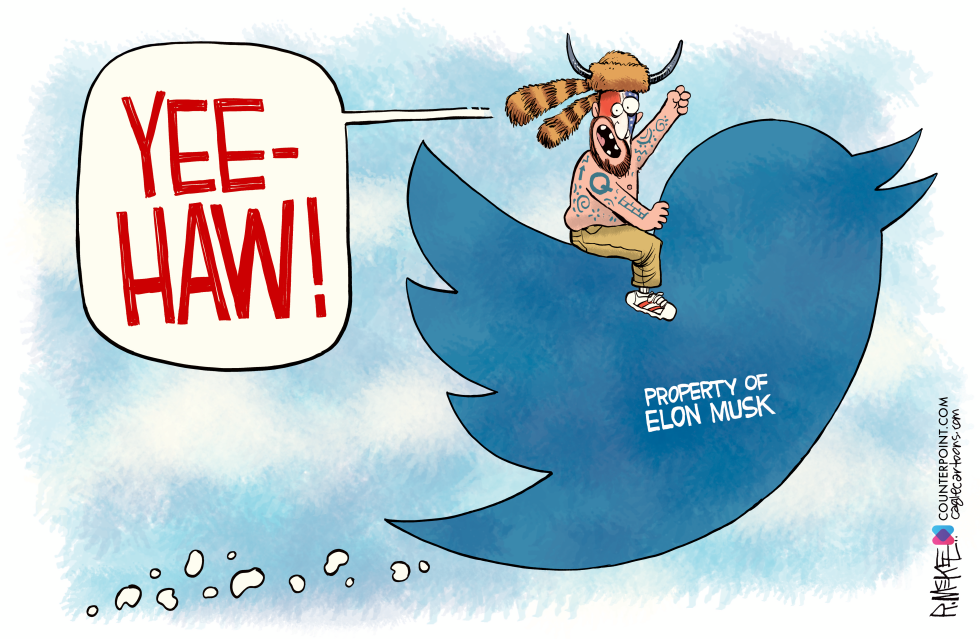 Musk Twitter