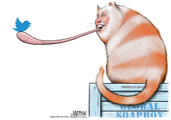 ELON MUSK BUYS TWITTER by R.J. Matson