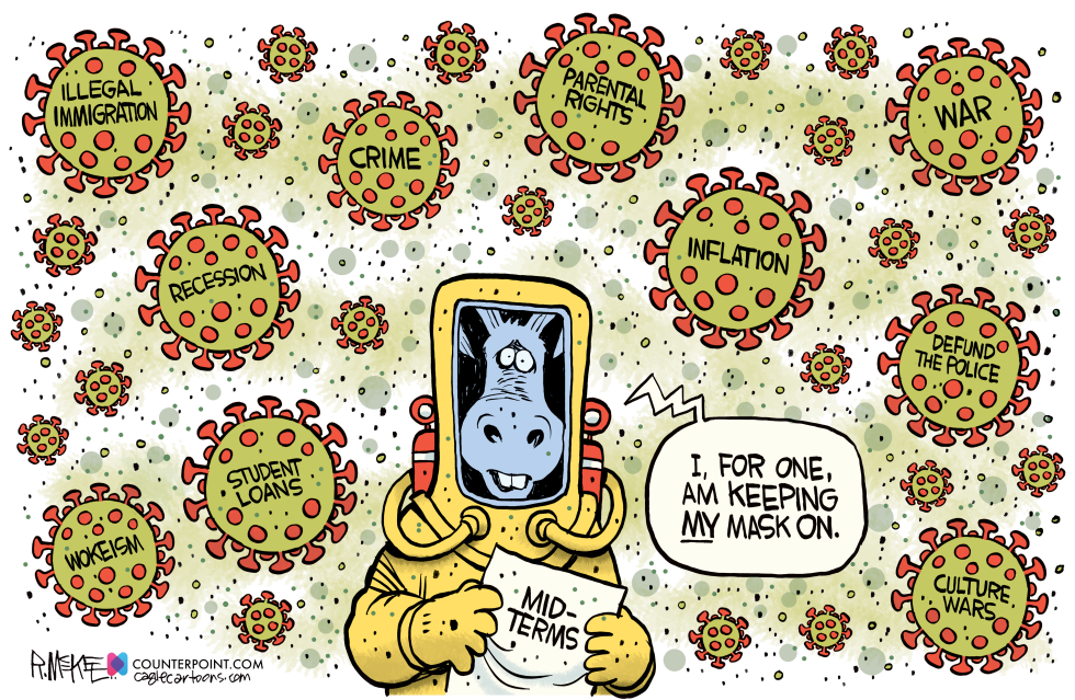 Democrats Mask