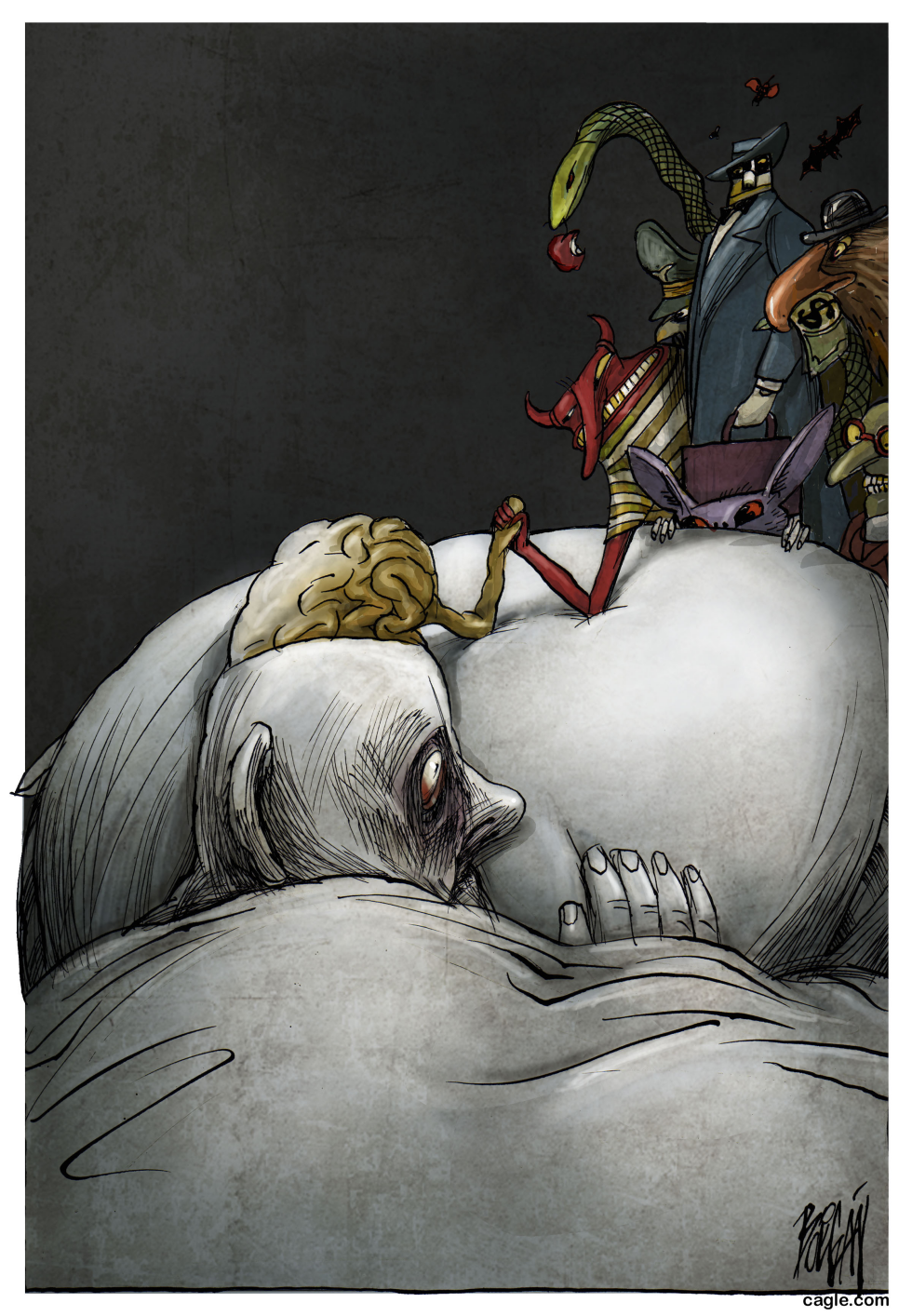 THE FAUNA OF INSOMNIA