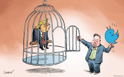 WHAT ELON MUSK WILL DO WITH TWITTER by Patrick Chappatte