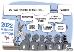 DEMOCRATS FEAR MIDTERM ELECTIONS by R.J. Matson