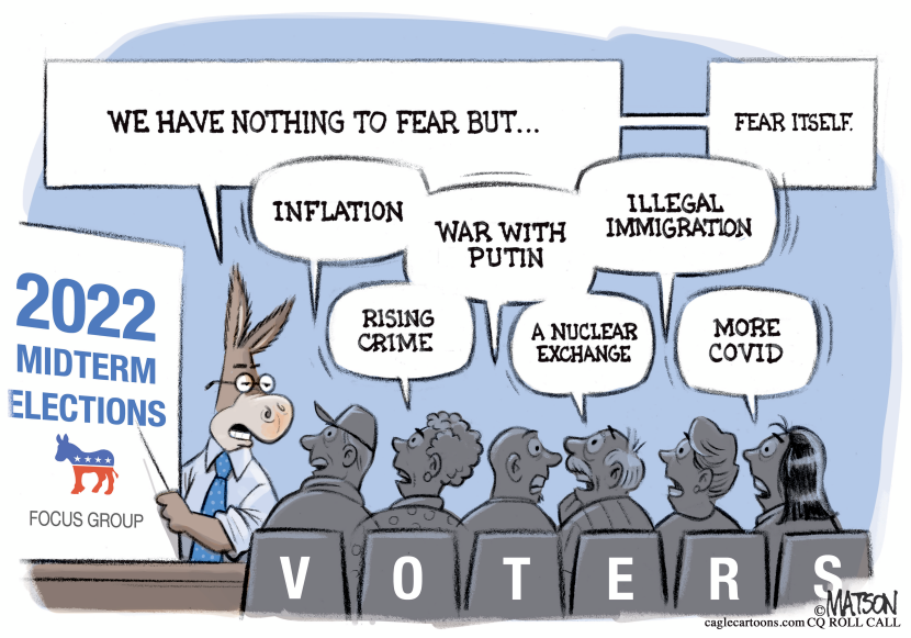 Democrats Fear Midterm Elections