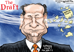 THE ROE DRAFT by Kevin Siers