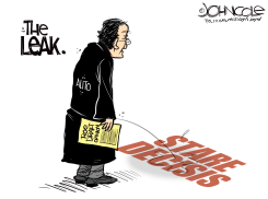 THE LEAK by John Cole