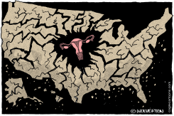 ABORTION FRAGMENTATION by Monte Wolverton
