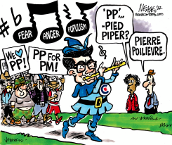 PP by Steve Nease