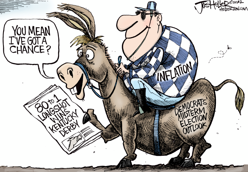 Midterms Race