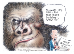BIDEN INFLATION 