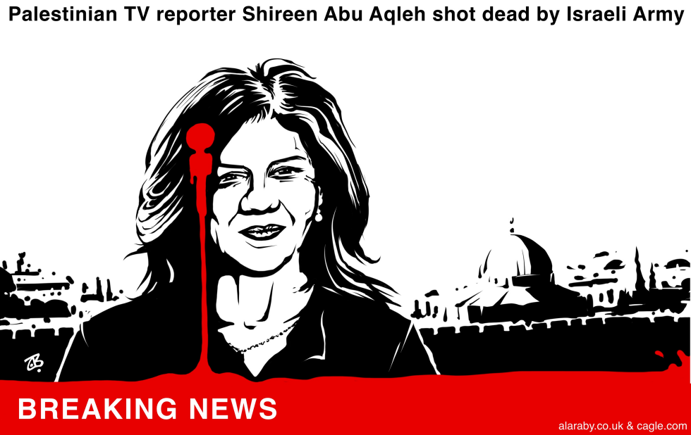 TV reporter shot dead by Israeli Troops