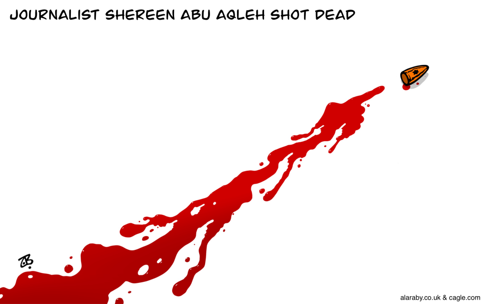 Shireen Abu Aqleh