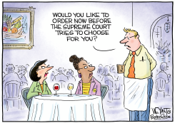 SUPREME COURT CHOICES by Christopher Weyant