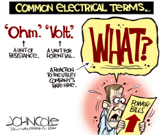 ELECTRIC RATE HIKES by John Cole
