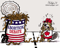 ABORTION DEBATE by Steve Nease