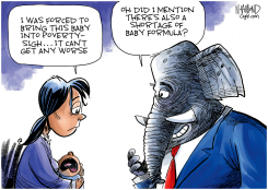BABY FORMULA SHORTAGE by Dave Whamond