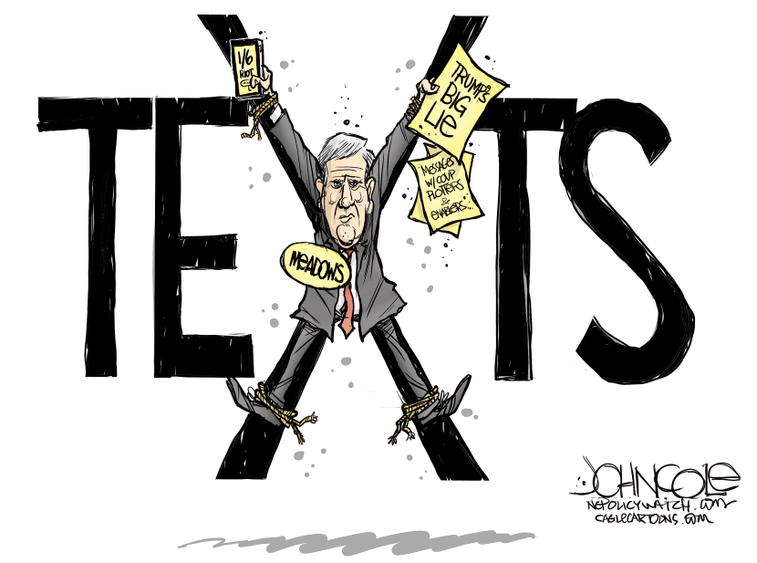 Meadows January 6 text messages