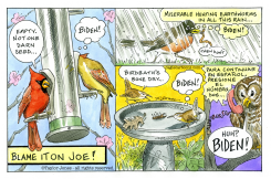 BLAME IT ON BIDEN by Taylor Jones