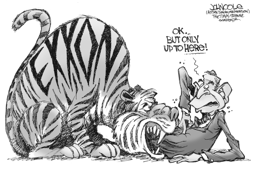Bush and the tiger