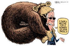 BIDEN MINKEY ON BACK by Rick McKee