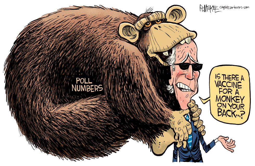 Biden Minkey on Back
