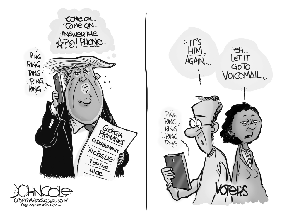 LOCAL GA - Trump and GA primaries