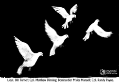 CANADA FOUR DOVES by Cam Cardow