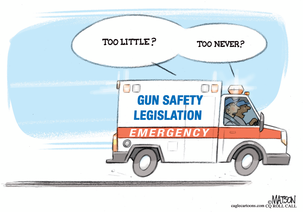 Emergency Gun Safety Legislation