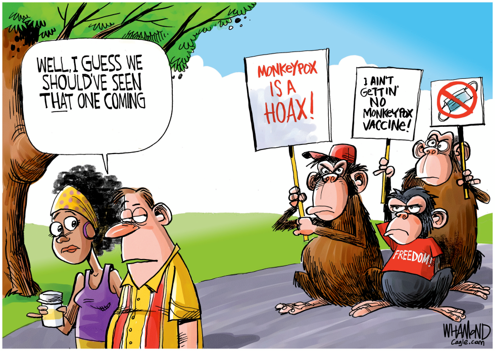 The Monkeypox Hoax