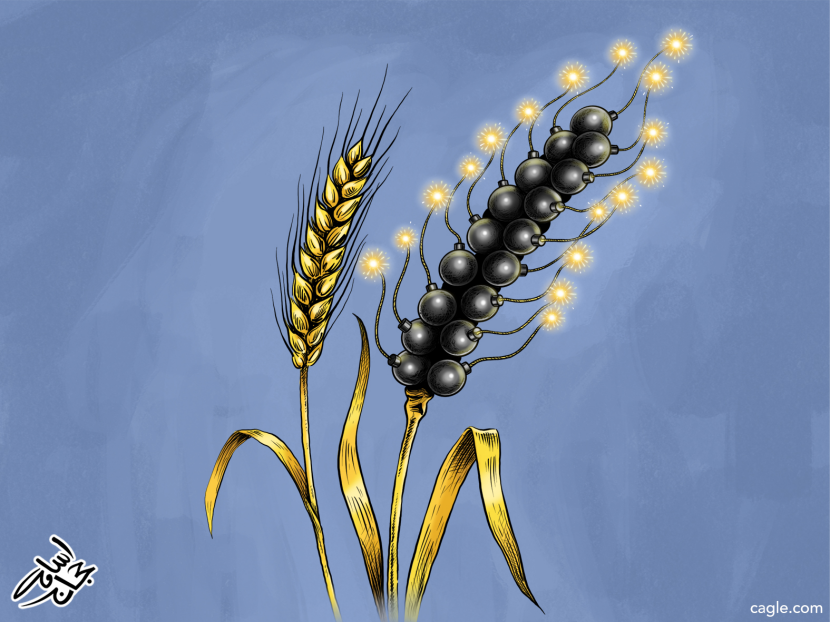 War & Food Crisis