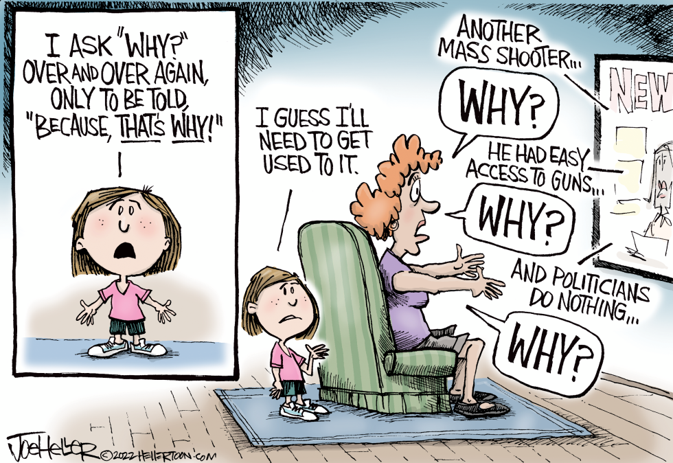 Why Shootings