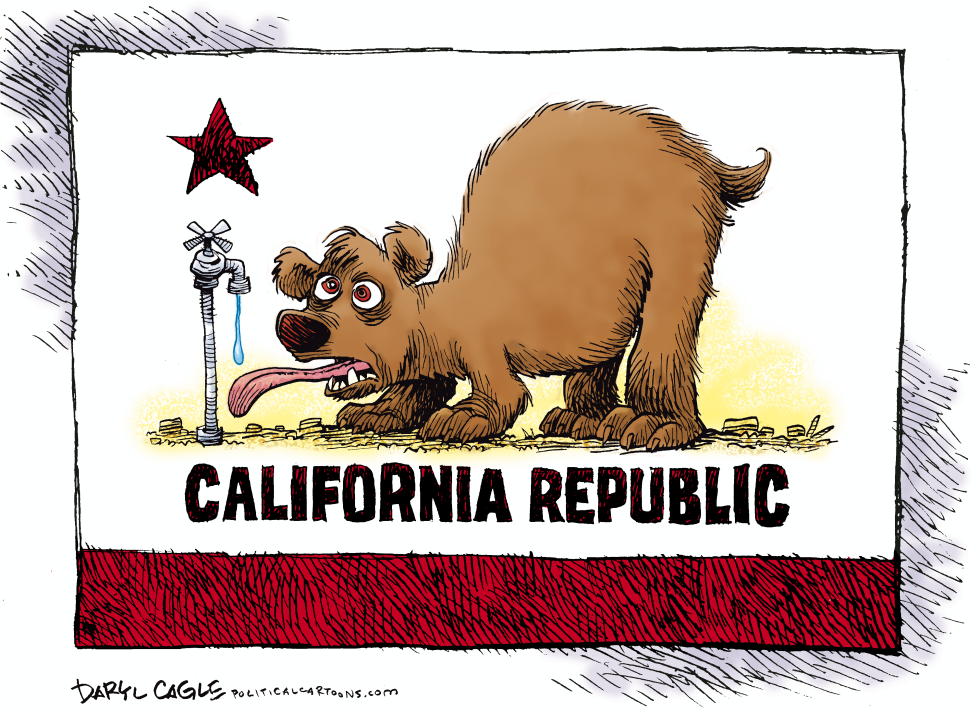 CALIFORNIA - Thirsty Flag