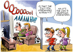 JAN 6 FIREWORKS by Dave Whamond