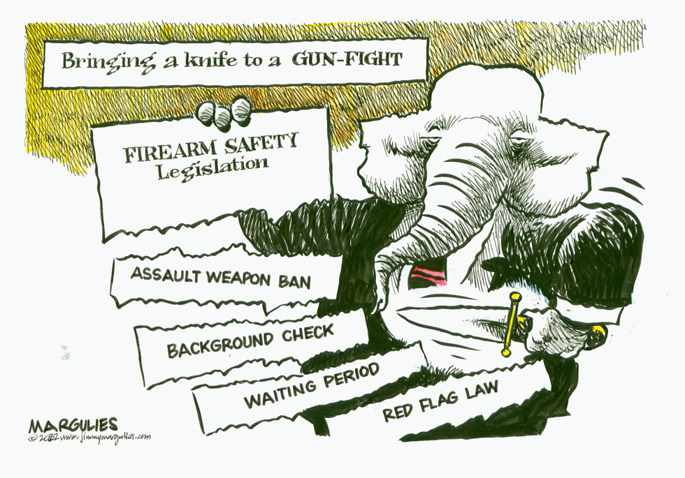 Republicans and gun control