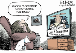 JAN 6 COMMITTEE GOAL by Rivers