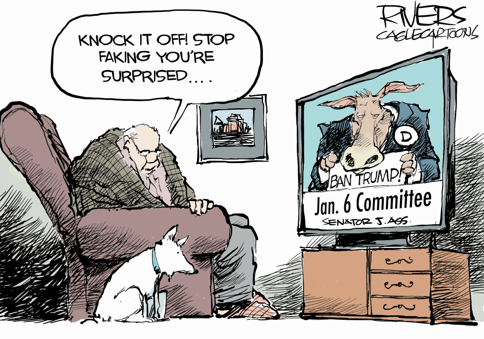 Jan 6 committee goal
