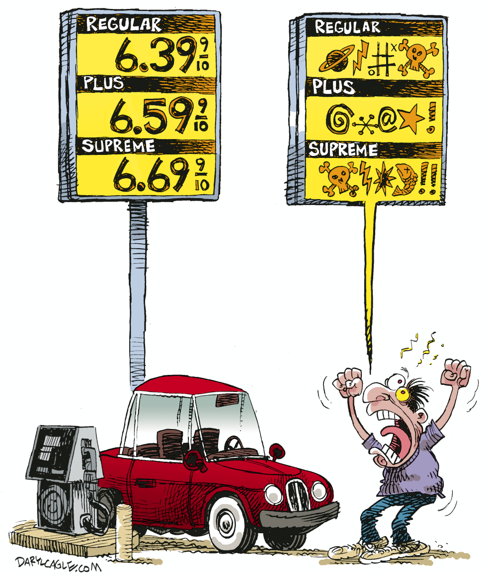  CALIFORNIA - GAS PRICES  by Daryl Cagle