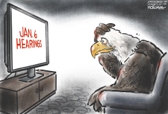 JANUARY 6 HEARINGS  by Jeff Koterba