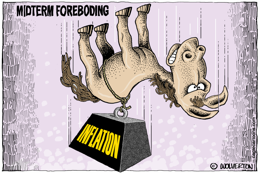 Dem Midterm Foreboding