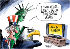TEAM NORMAL by Dave Whamond