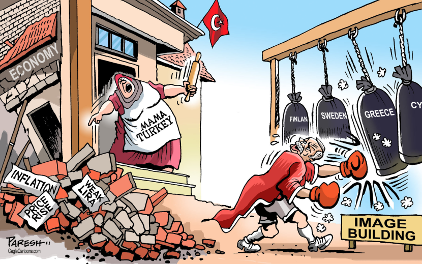 Erdogan image building