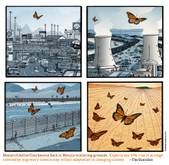 MONARCH BUTTERFLIES RETURN by Peter Kuper