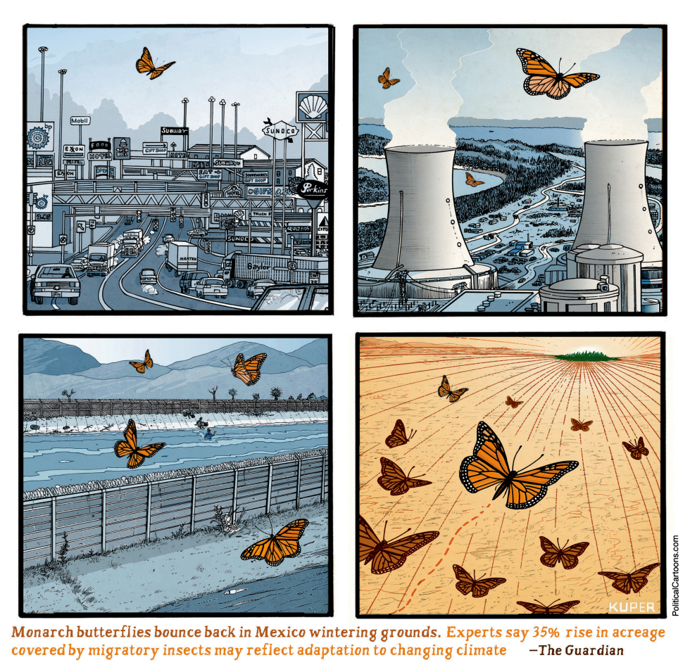 Monarch Butterflies Return!