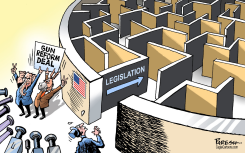 GUN REFORM DEAL by Paresh Nath