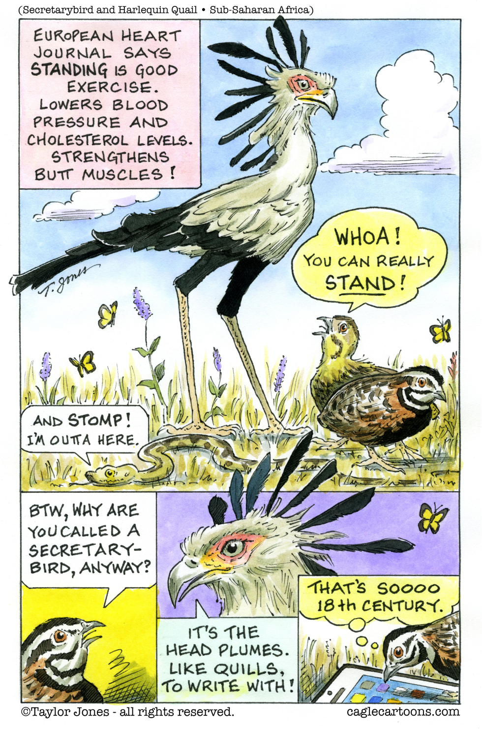 Standing is good exercise