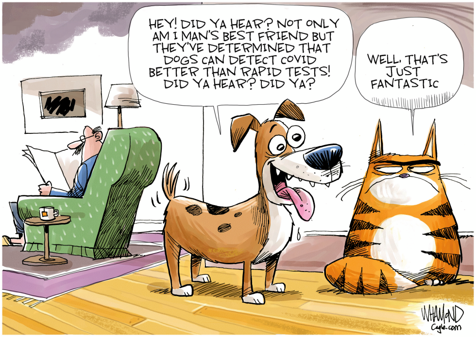 Dogs Can Detect Covid