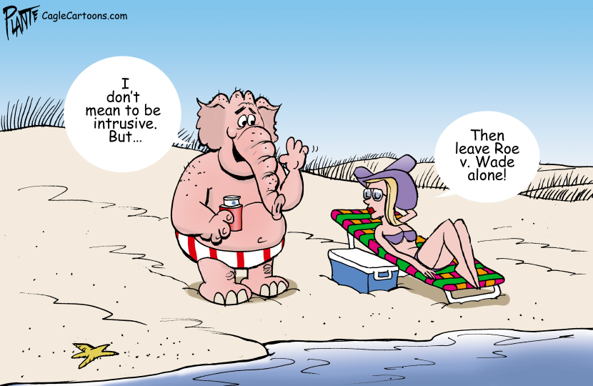 Beached Elephant